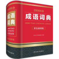 音像20000条成语词典汉语大字典编纂处 编著