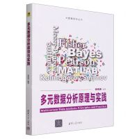 [N]多元数据分析原理与实践/大数据系列丛书-9787302648628