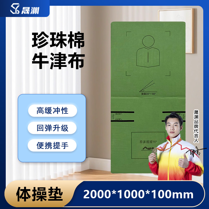 晟渊 YT211仰卧卷腹训练垫仰卧起坐折叠垫[牛津布两折叠] 5个装 200*100*10cm