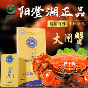 蟹灵阁阳澄湖大闸蟹中秋礼盒海鲜水产公4.5两母3.5两4对8只装