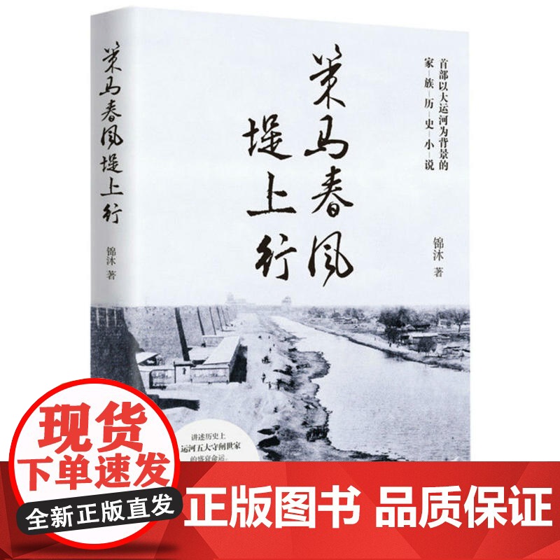 策马春风堤上行