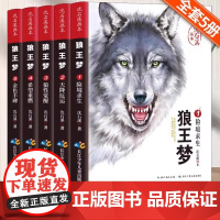 狼王梦沈石溪正版全套5册动物小说全集画本小学生三年级四五六年级课外阅读书籍注音漫画版经典儿童文学读物全本书沈石溪的