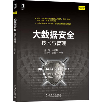 大数据安全:技术与管理