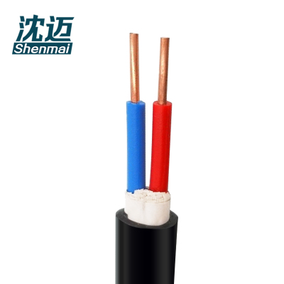 沈迈 铜芯电缆 ZR-YJV-1KV-2*4mm²/米