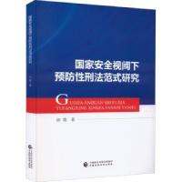 音像安全视阈下预防刑法范式研究胡霞著
