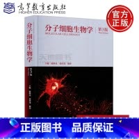 [正版] 分子细胞生物学 第三版 第3版 陈晔光 张传茂 陈佺 基因表达调控和蛋白质修饰 细胞物质运输和细胞运动
