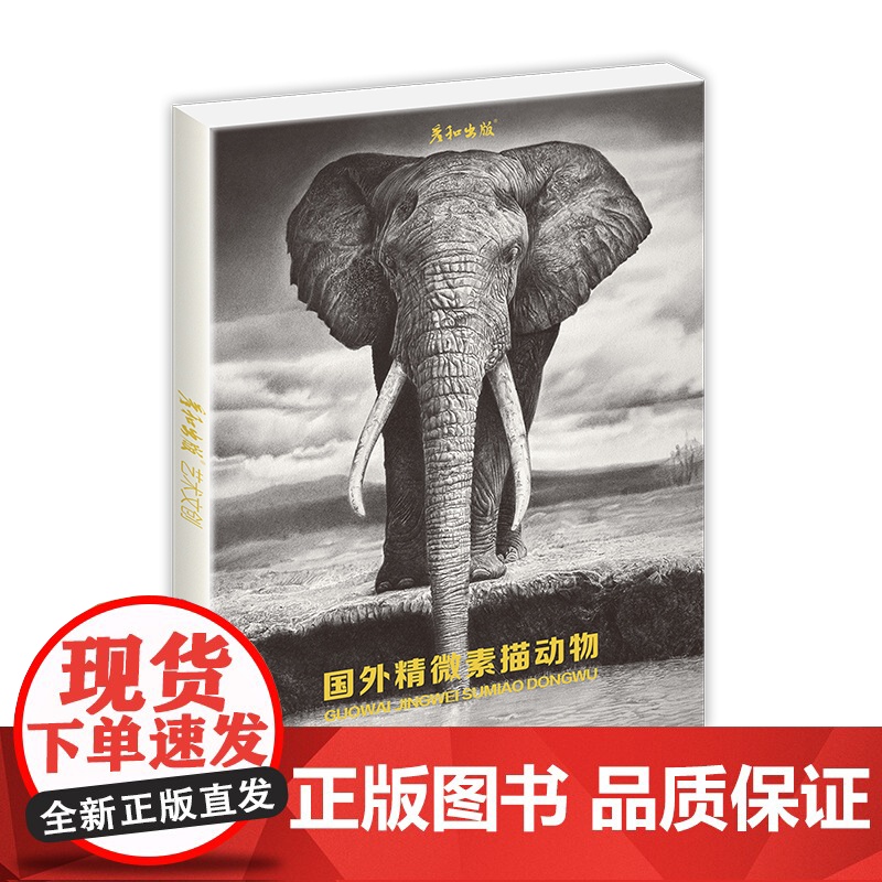 国外精微素描动物绘画临摹卡片明信片大尺寸高清图画册集手绘插画复古出类艺术趣味线描创意黑白超写实狮子