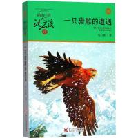 动物小说大王沈石溪:一只猎雕的遭遇