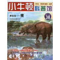 正版新书]胖宝宝.猪台湾牛顿出版公司9787546131740