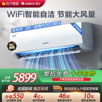[格力官方旗舰店]清炫风2匹新一级能效变频大挂机空调 KFR-50GW/NhKf1BAt 冷暖家用 一级能效