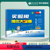 语文 六年级上 [正版]2023年秋 小学语文实验班提优大考卷六年级上册人教版 6年级上册RJ单元基础巩固分层能力提优期