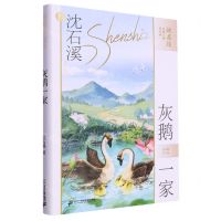 [N]灰鹅一家/沈石溪动物小说短经典-9787556872947