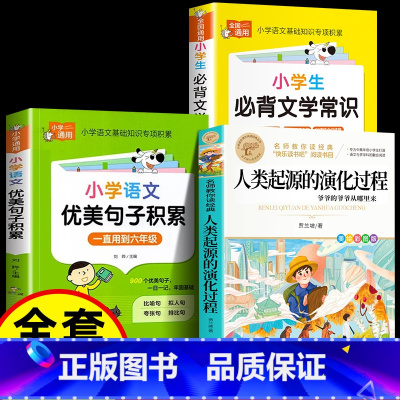 [3册]人类起源+句子积累+文学常识 [正版]人类起源的演化过程 彩色图案四年级下册必读快乐读书吧小学生课外阅读书目贾兰