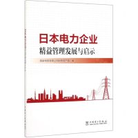 [N]日本电力企业精益管理发展与启示-9787519839710
