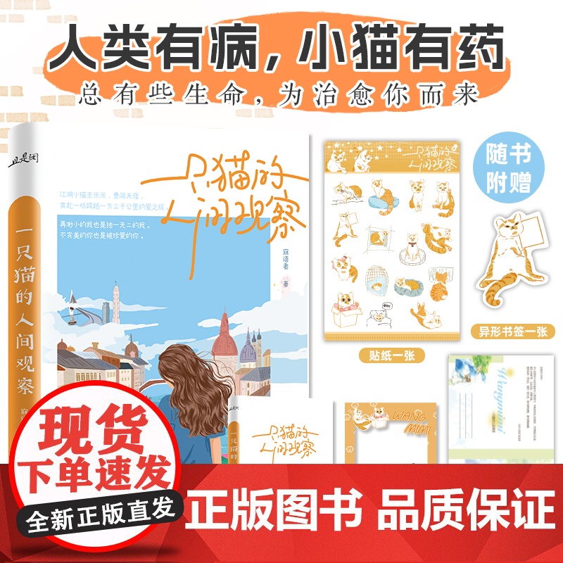 《一只猫的人间观察》人类有病,小猫有药。没素质的流浪小橘猫王米米“捡到”人类作家的真实故事,拥抱有态度、有温度的小猫生