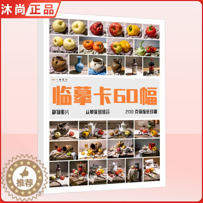 [醉染正版]临摹卡60幅静物照片 2022美术绘画写生参考素材图片美术培训教学唯美文艺小清新绘画教学训练