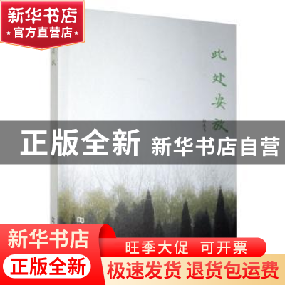 正版 此处安放 郭逸飞著 河南大学出版社 9787564937058 书籍