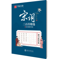 音像宋词三百精 楷书教程版张颢