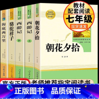 七上朝花、西游+七下骆驼、海底 [正版]朝花夕拾鲁迅原著+西游记无删减版七年级上册必读课外书人民教育出版社阅读白洋淀纪事