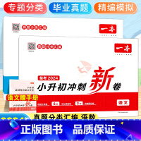 [备考2024-2本]语文+数学 小学升初中 [正版]2024小升初冲刺新卷语文数学英语小升初总复习试卷升学冲刺卷名校冲