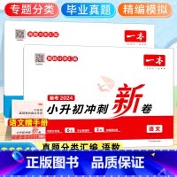 [备考2024-2本]语文+数学 小学升初中 [正版]2024小升初冲刺新卷语文数学英语小升初总复习试卷升学冲刺卷名校冲