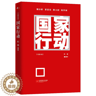[醉染正版]国家行动 程琳著 张译主演同名电视剧原著小说长篇反腐刑侦 人民的名义天局同类 官场小说现当代文学书籍排行