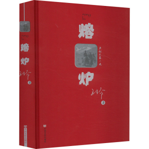 正版新书]熔炉王伶 著9787517147640
