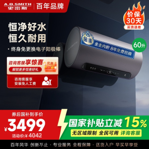 AO史密斯60升电热水器 国家补贴 金圭内胆 双棒分离速热 免换镁棒 免清洗 E60ED8