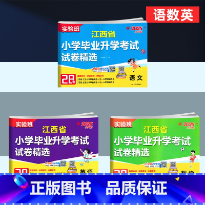 小升初升学考试:语文数学英语[3本套] 小学升初中 [正版][南昌发货2025春雨实验班江西省小学毕业升学考试试卷精选语