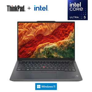 ThinkPad E14 02CD AI 2024 经典商务本 14英寸笔记本电脑 定制 英特尔酷睿Ultra 5 125H 16G 2T固态 锐炫Arc显卡 高清屏 黑