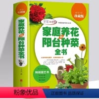 [正版] 家庭养花和阳台种菜全书 室内植图解养花种植观景植物盆栽栽培技术入门教程注意事项 花草植物图鉴大全新手家庭园艺