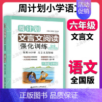 小学文言文阅读强化训练 小学六年级 [正版]周计划 文言文阅读 小学文言文阅读强化训练 六年级6年级+小升初 小学生文言