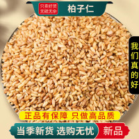 新货柏子仁100克干货袋装无硫柏实正品柏籽仁柏树种籽仁泡水泡茶9260