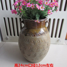 太阳花盆栽图片 太阳花盆栽图片大全 苏宁易购