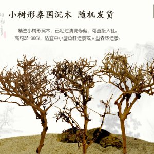 泰国沉木 树枝沉木 树形流木 水缸 莫丝树 鱼缸造景树根杜鹃根 小树型随机发货 默认尺寸
