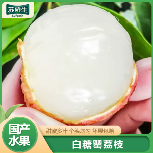 [苏鲜生]新鲜白糖罂荔枝 净重4.5斤 单果18g+