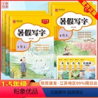 一升二年级[人教版] 小学通用 [正版]笔墨先锋暑假写字全彩版1升2 二升三4升5五升六暑假衔接下册衔接上册练字帖小学生