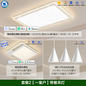 欧普照明线面立体发光客厅灯吸顶灯超大瓦数高亮吸顶灯灯具家用
