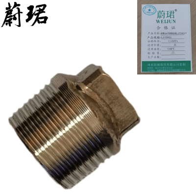 蔚珺304不锈钢丝堵1.2寸DN32个