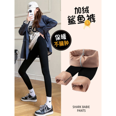 加绒鲨鱼裤女外穿冬季新款加厚保暖裤紧身棉裤秋冬黑色打底裤