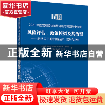 正版 风险评估、政策模拟及其治理:新格局下的中国经济:变局与应