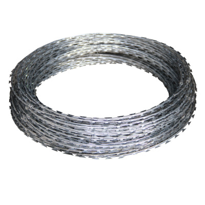 知田 刀刺丝滚笼 圈径50CM 卷