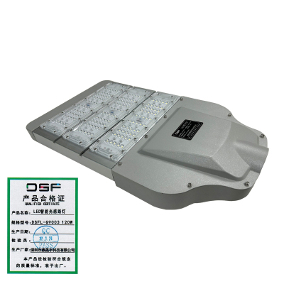 鼎晟丰(DSF)LED智能光感路灯 DSFL-G9003 120W 个