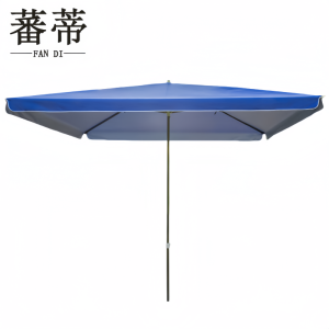 蕃蒂