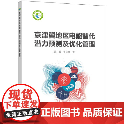 京津冀地区电能替代潜力预测及优化管理
