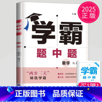 数学 九年级上 人教版 九年级/初中三年级 [正版]2025学霸题中题九年级下册上册数学物理英语化学苏科版译林版苏教人教