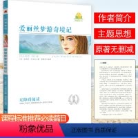 [爱丽丝梦游奇境记]原著附考点精练 [正版]同读系列四大名著稻草人夏洛的网骆驼祥子无障碍阅读附考点精练无删减完整版西游记