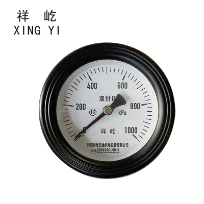祥屹 双针双管压力表24v轴向 YYS100Z 个