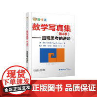 数学写真集(第4季) 直观思考的进阶 自然科学 数学 机械工业出版社 正版书籍