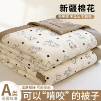 新疆纯棉夏凉被子夏被薄款空调被芯春秋被全棉可机洗夏季宿舍学生